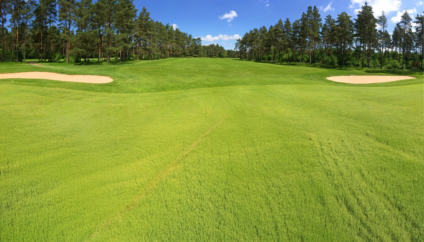 Bright green golf course with trees in the background and clear blue sky